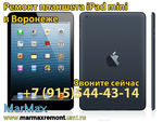 Ремонт iPad mini